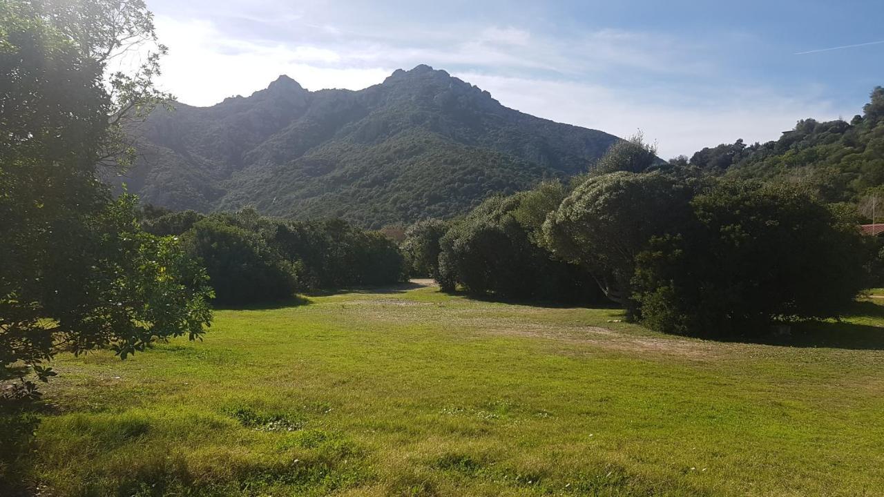 New Camping Coccorrocci Marina di Gairo Exterior photo