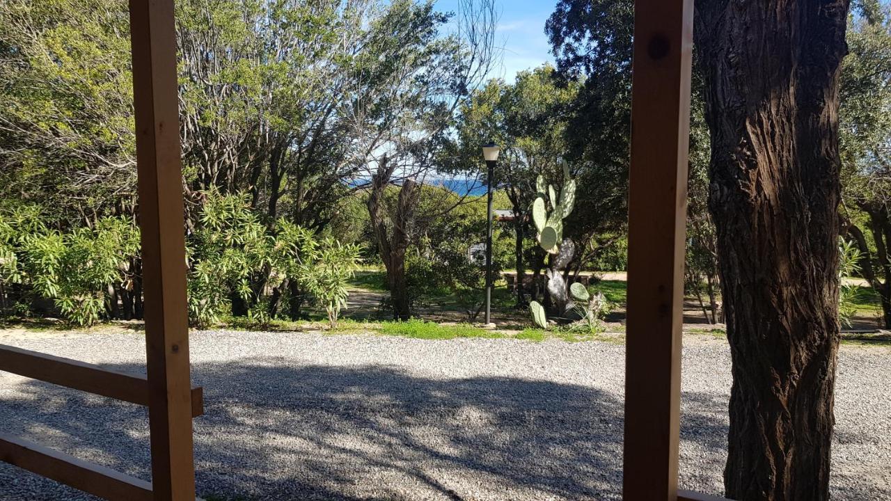 New Camping Coccorrocci Marina di Gairo Exterior photo