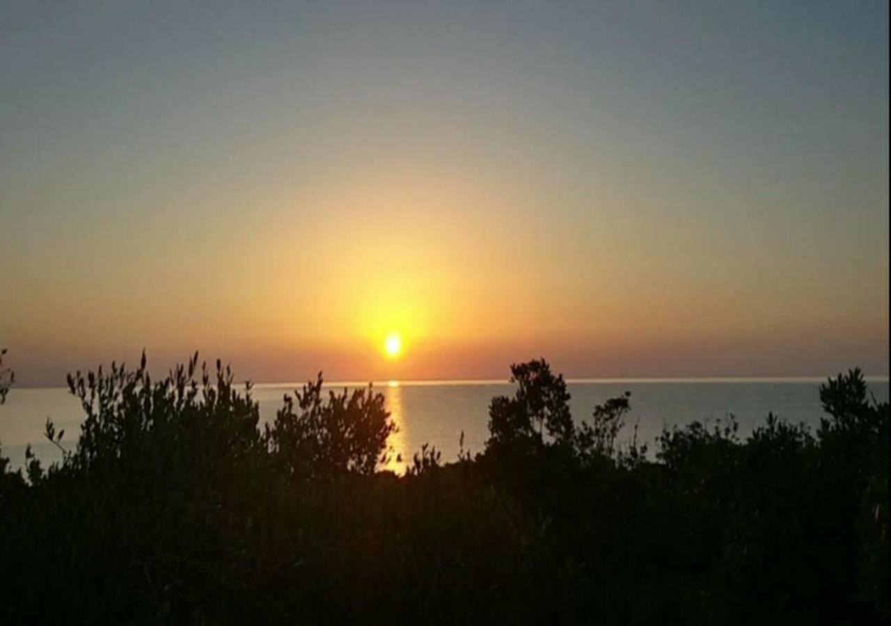New Camping Coccorrocci Marina di Gairo Exterior photo
